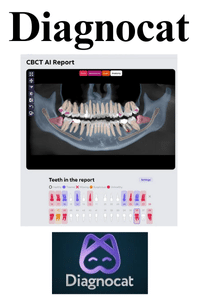 Diagnocat - AI X-ray Detecing Software - AI.Dentist